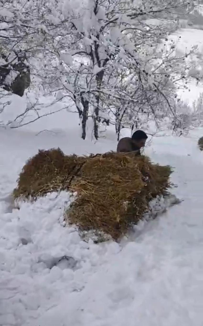 Hakkari'de 30 yıldır aynı yöntem kullanılıyor! 3 bin metreden indiriyorlar