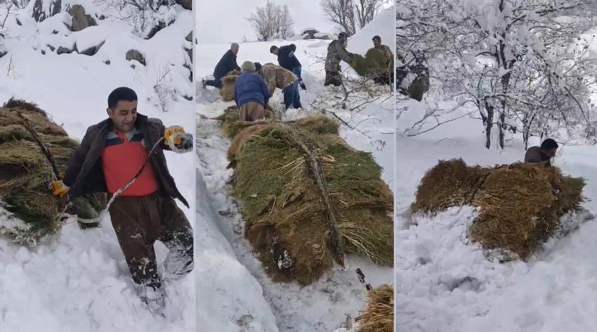 Hakkari'de 30 yıldır aynı yöntem kullanılıyor! 3 bin metreden indiriyorlar