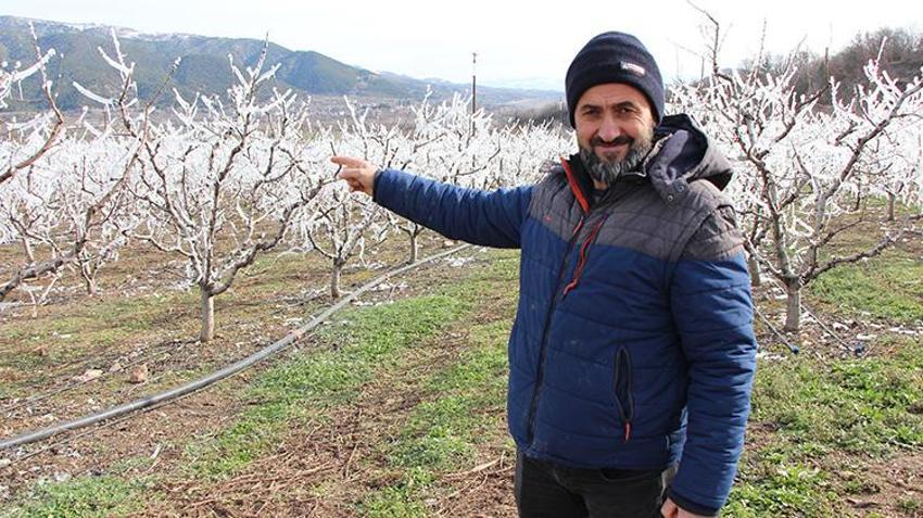Amasya'da dondurularak 'dondan' kurtarılan meyve ağaçları görenleri şaşkına çevirdi!