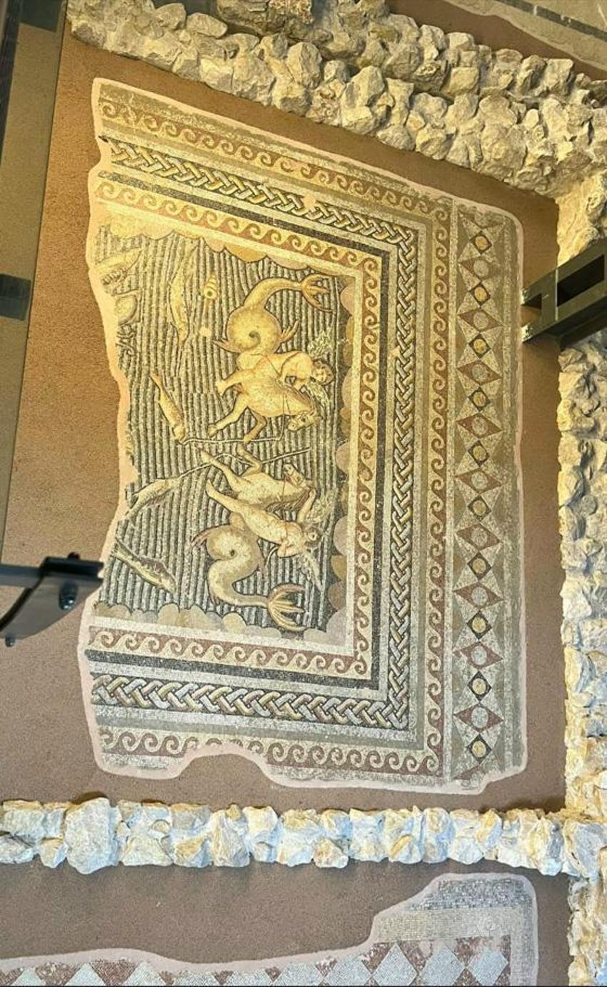 Türkiye'nin en büyüğü Adana'da! Görenler hayran kalıyor: Kent merkezinde tarihi ve kültürel miras tek çatı altında