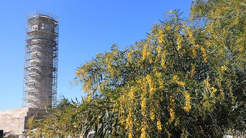 Patara'da tarihi dönüm noktası: Deniz feneri yeniden denizcileri selamlayacak