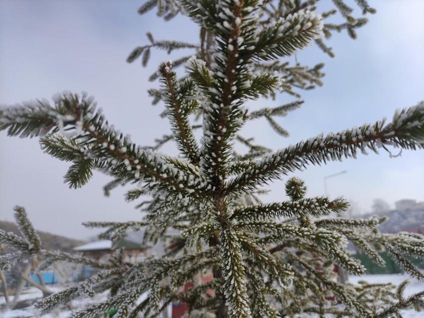 Türkiye'nin en soğuk yerleşim yeri belli oldu! Eksi 32,1 derece ile rekor kırdı