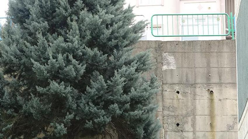 İzmit'te korkutan görüntü! İstinat duvarında dökülme oldu yarıklar her geçen gün büyüyor