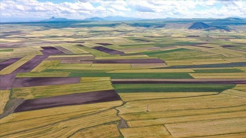 Arsa ve araziye yatırım yapacaklar dikkat! Uzmanlar uyarıyor: Mülkünüz yıkılabilir