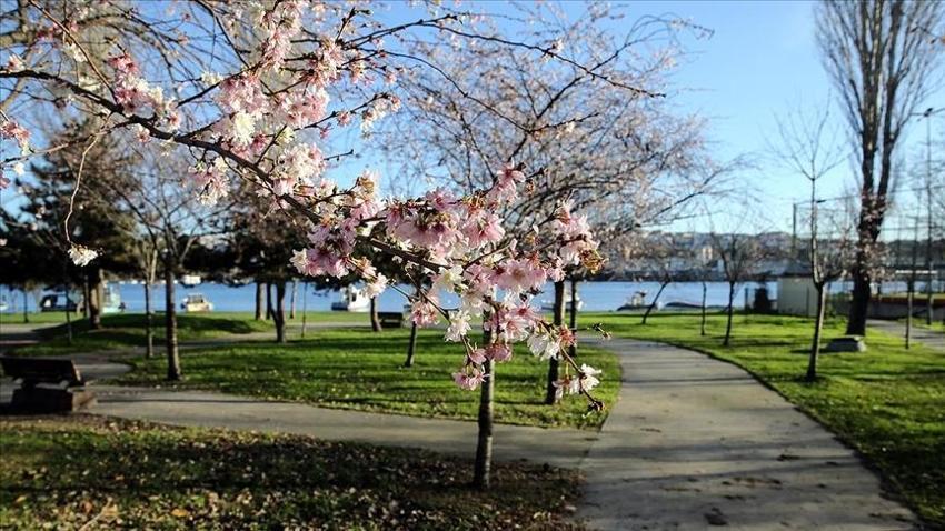 Meteoroloji uyardı! İstanbul'da hava sıcaklıkları zirveye tırmanıyor! Doğu illerinde büyük tehlikeye dikkat