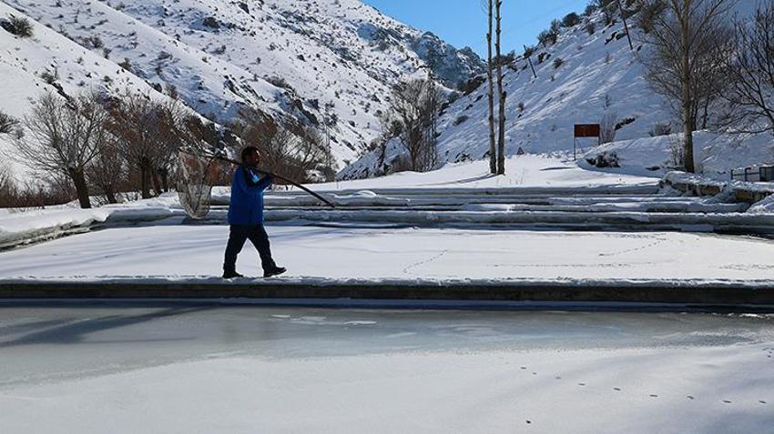 Bayburt'ta sıfırın altında 20 derecede yaşam mücadelesi! Dağ köyünde balık yetiştiriyorlar