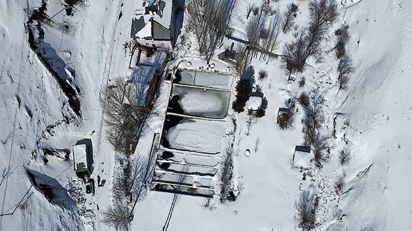 Bayburt'ta sıfırın altında 20 derecede yaşam mücadelesi! Dağ köyünde balık yetiştiriyorlar