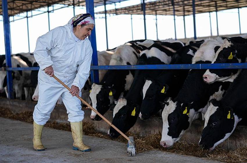 İzmir'de eşi iflas edince hayvan çiftliği kurup iş kadını oldu