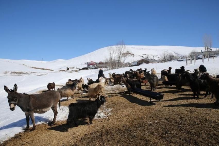 Kırsalda besicilik yapan kadınlar, hayatın zorluklarına göğüs geriyor
