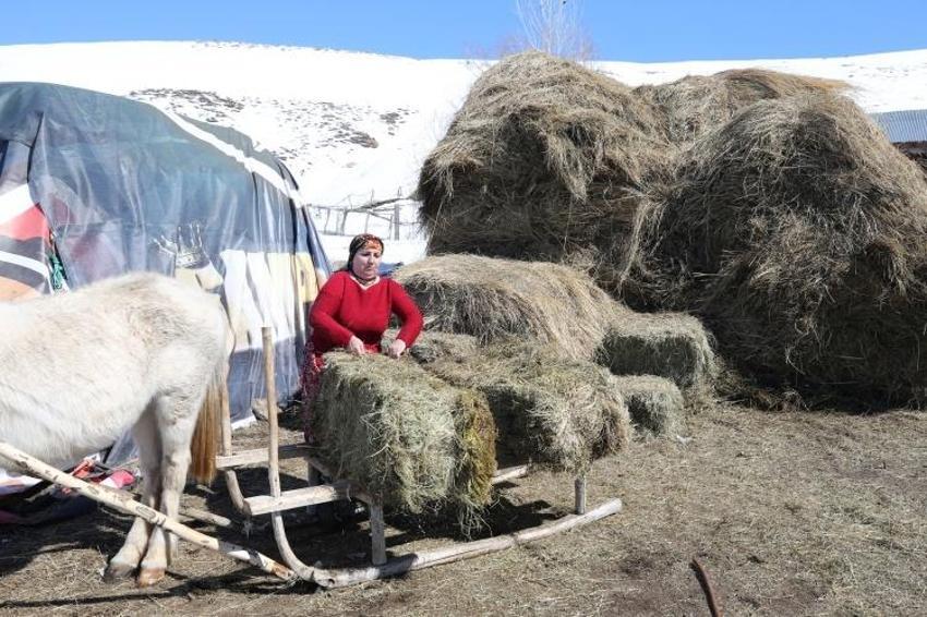 Kırsalda besicilik yapan kadınlar, hayatın zorluklarına göğüs geriyor