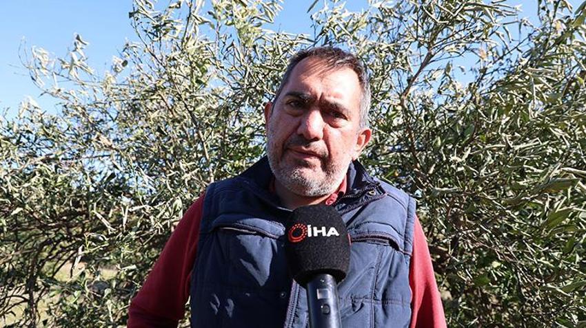 Sibirya soğukları çiftçiyi vurdu! Narenciye ve sebzede büyük zarar var
