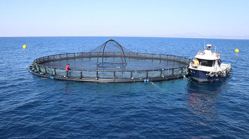 Adana'da bir ilk! Su ürünleri potansiyelini 10 kat artıracak