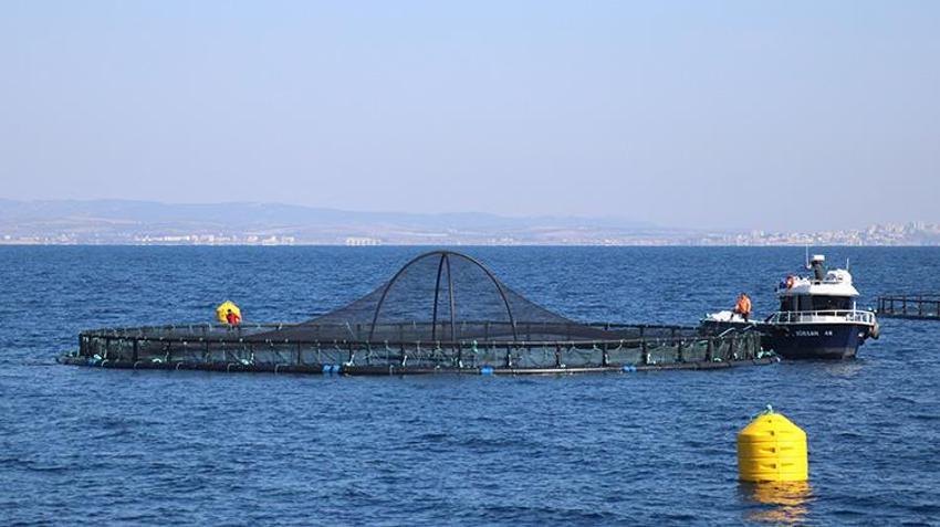 Adana'da bir ilk! Su ürünleri potansiyelini 10 kat artıracak