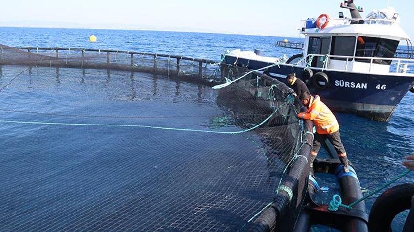 Adana'da bir ilk! Su ürünleri potansiyelini 10 kat artıracak