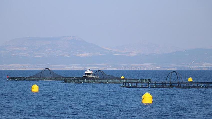 Adana'da bir ilk! Su ürünleri potansiyelini 10 kat artıracak