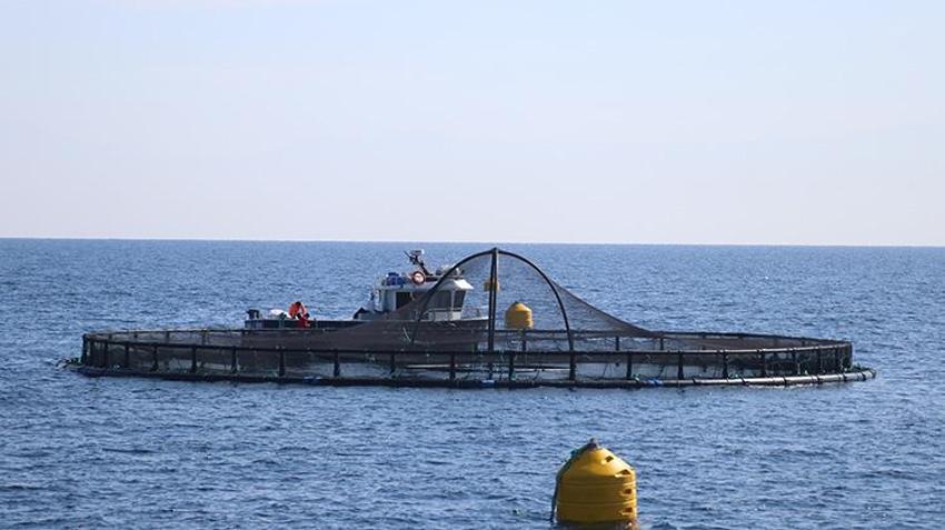 Adana'da bir ilk! Su ürünleri potansiyelini 10 kat artıracak