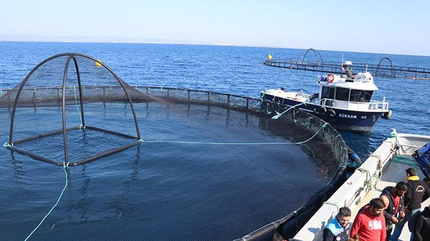 Adana'da bir ilk! Su ürünleri potansiyelini 10 kat artıracak