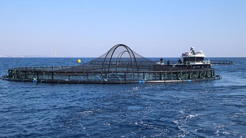 Adana'da bir ilk! Su ürünleri potansiyelini 10 kat artıracak