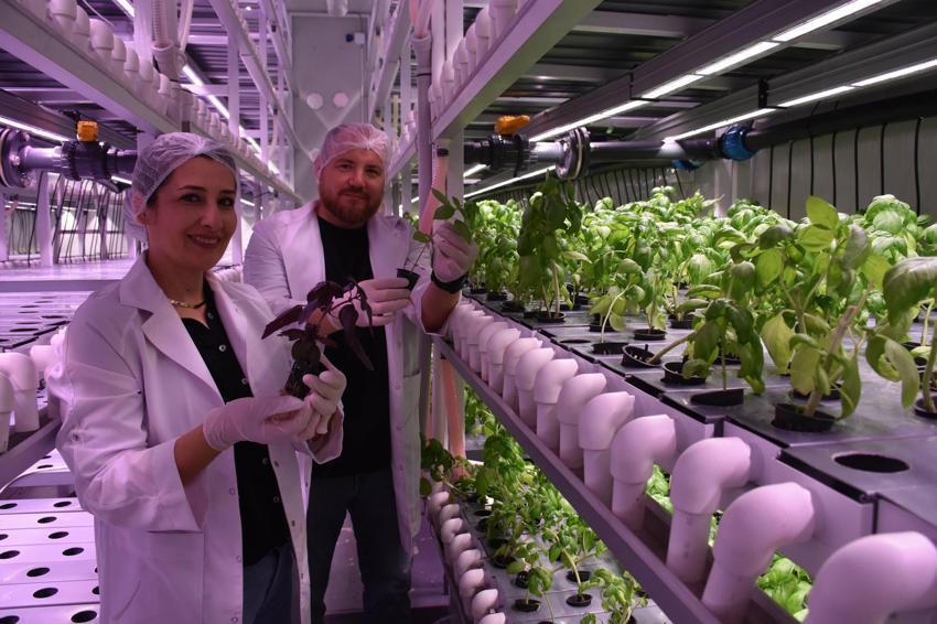 Biri mühendis diğeri öğretmen... Şehir hayatından bıktılar, topraksız tarıma başladılar! Aracısız satış yapıyorlar 