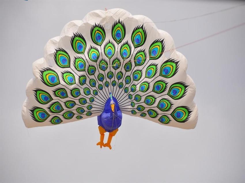 Dünya birincisi tavus kuşu ile şahmeran uçurtmalarını Venedik semalarında uçuracak