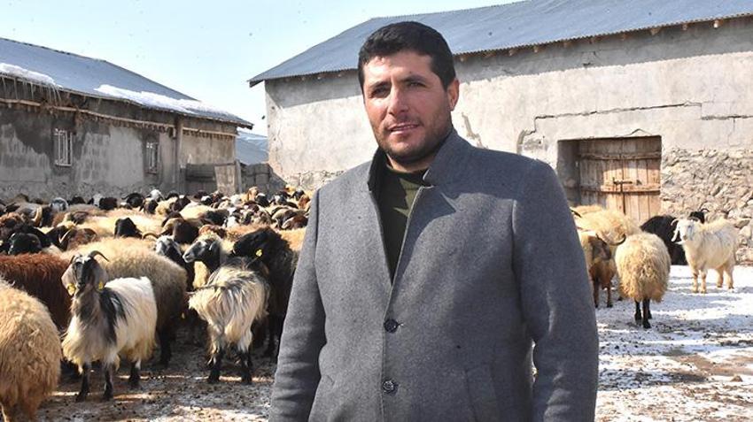 Van'da besici veterinerin tavsiyesine uydu yıl iki kez kuzu almaya başladı!