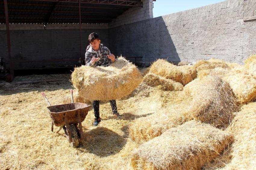 Kayseri'de köy okulunda başladılar, kısa sürede şampiyon oldular