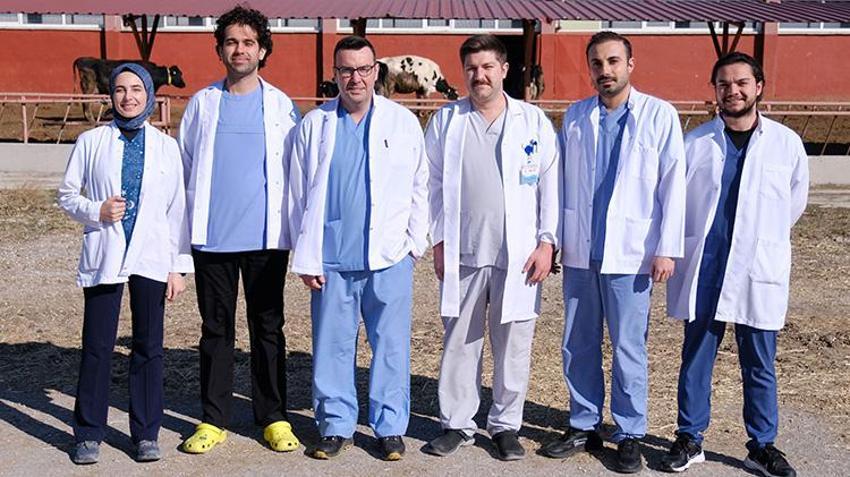Konya'da hayvancılık adına büyük proje! Genetik olarak üstün özelliklere sahip sığırlardan embriyo üretimi gerçekleştirilecek
