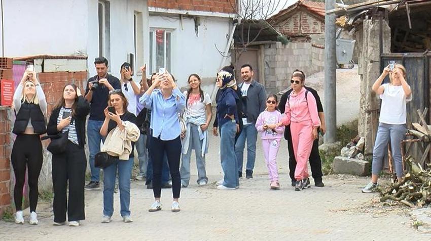Geldiğini duyanlar köye koştu! Eskikaraağaç köyünde Yaren leylek yoğunluğu yaşanıyor
