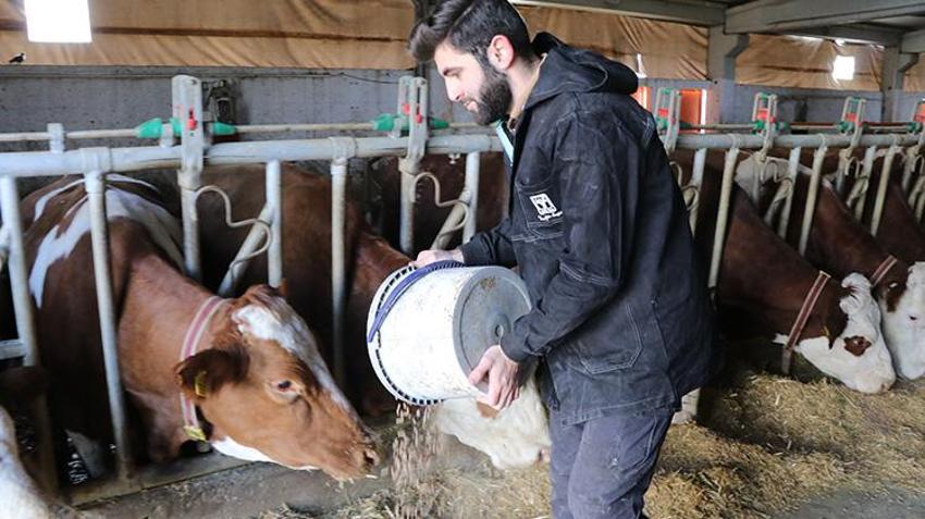 Şehir hayatından kaçıp köyüne yerleşti! Devlet desteğiyle kurduğu çiftlikte ayda tonlarca süt üretiyor