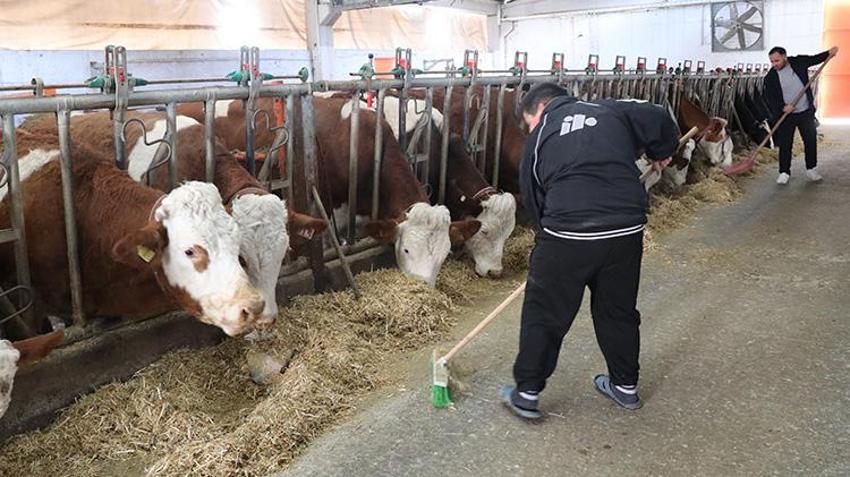 Şehir hayatından kaçıp köyüne yerleşti! Devlet desteğiyle kurduğu çiftlikte ayda tonlarca süt üretiyor