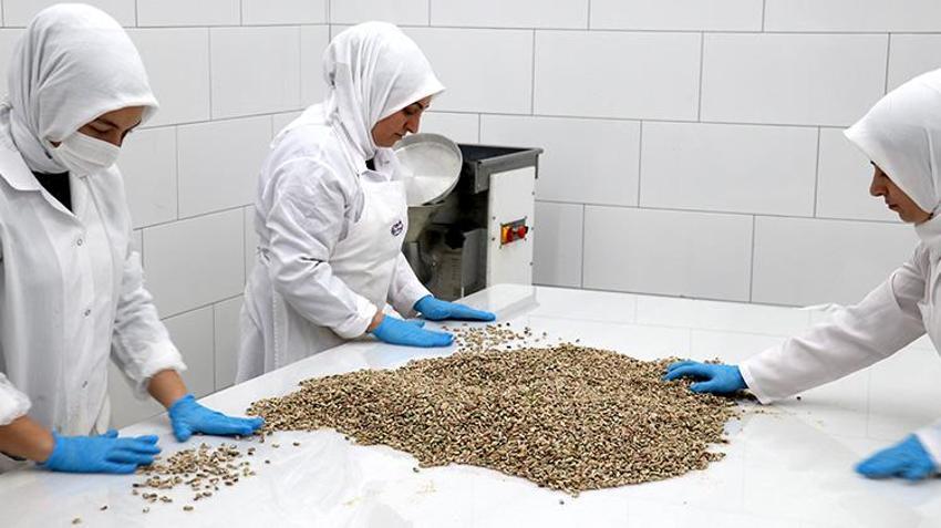 Seyyar tezgahta börek satarak gıda sektörüne girdi! Şimdi 100 ülkeye tatlı satıyor