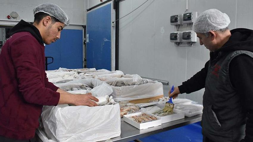 İzmir'de av yasağı başlamadan tekneler limana demir attı! İklim değişikliği ve müsilaj  balıkçılığı vurdu