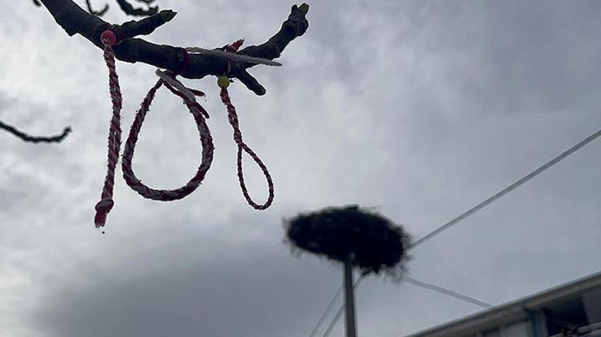 Marteniçkalar artık 'Yarençika' adını aldı! Baharın Dilekler tutuldu, marteniçkalar çiçek açan ağaçlara bağlandı