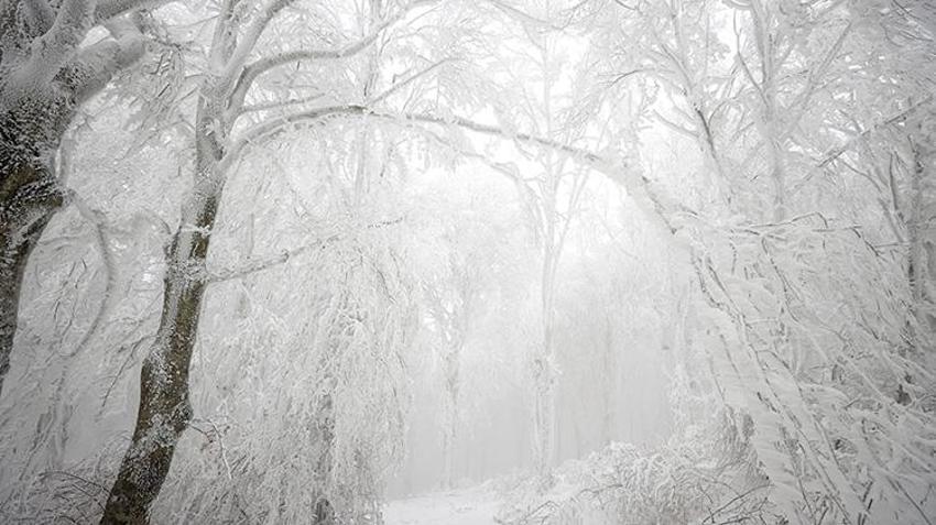 Meteoroloji'den uyarı üstüne uyarı geldi: Yurt genelinde kuvvetli yağış, don ve çığ tehlikesi!