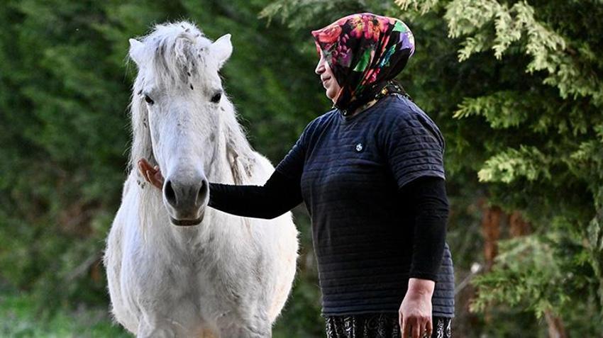 Düzce'de süt ve peynir ihtiyacıyla manda beslemeye başlayan kadın devlet desteğiyle çiftlik açtı!