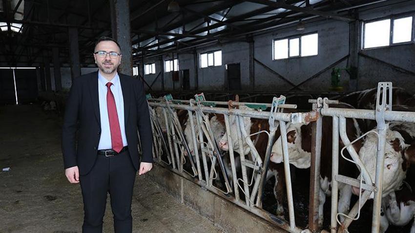 Muş'ta devlet desteğiyle çiftlik kuran girişimci günde 1 ton süt üretiyor!