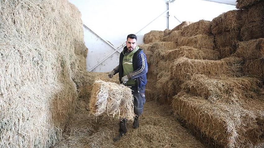 Muş'ta devlet desteğiyle çiftlik kuran girişimci günde 1 ton süt üretiyor!