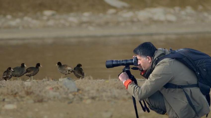 Bitlis'te göçmen kuş mesaisi! Her şey tek bir kare için, sadece orada bekliyor