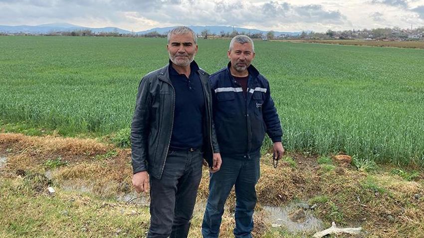 Osmaniye'de çiftçi mutlu! Kar ve yağmur tarlalara bereket getirdi