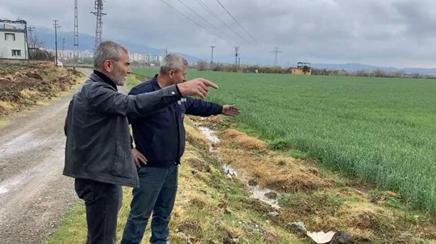 Osmaniye'de çiftçi mutlu! Kar ve yağmur tarlalara bereket getirdi
