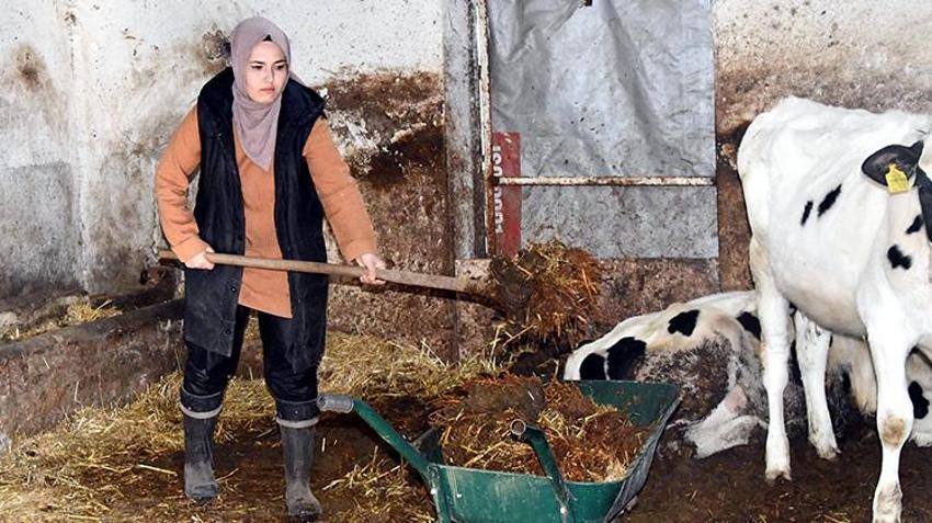 Köye yerleşip devlet desteğiyle hayvancılık yapmaya başladılar! İnek sayısını 2 yılda katladı