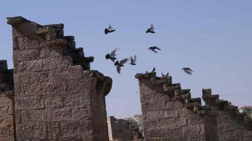 Kayseri'de yüzyıllık güvercinlik geleneği yaşıyor: Sayıları 500'ü buluyor! hem tarih hem kültür mirası
