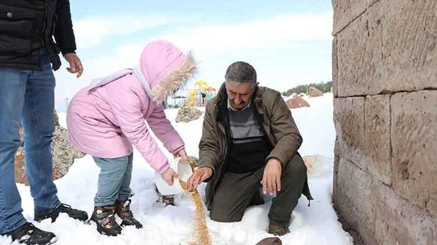 Kayseri'de yüzyıllık güvercinlik geleneği yaşıyor: Sayıları 500'ü buluyor! hem tarih hem kültür mirası