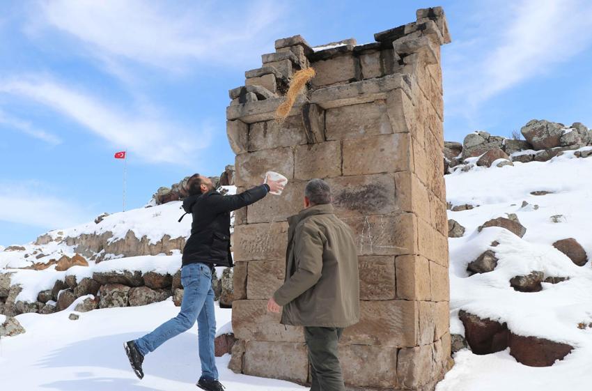 Kayseri'de yüzyıllık güvercinlik geleneği yaşıyor: Sayıları 500'ü buluyor! hem tarih hem kültür mirası
