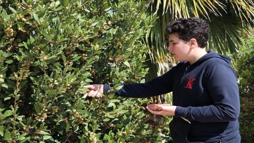 Okul bahçesinde keşfetti! 13 yaşındaki Emre tohumundan üretti: Katılım hakkı kazandı
