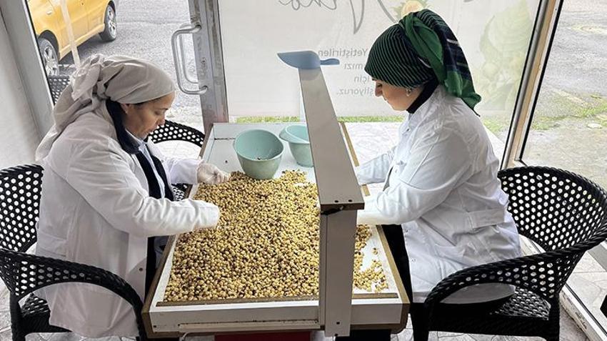 Trabzon'da fındığı işleyerek katma değer katan girişimci kadın, hem istihdam sağladı hem de işinin patronu oldu