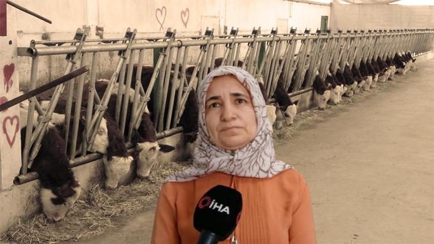 43 yaşında patron oldu! Günlük 12 bin TL gelir elde ediyor: Gurbetçilere bile satıyor
