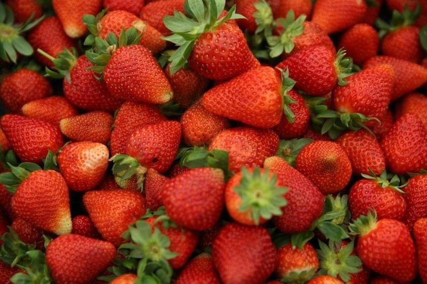 Günlük 400 kilo üretiyor! Her tohumu altın değerinde: Kilosunu 60 TL'den satan kadına istek yağıyor