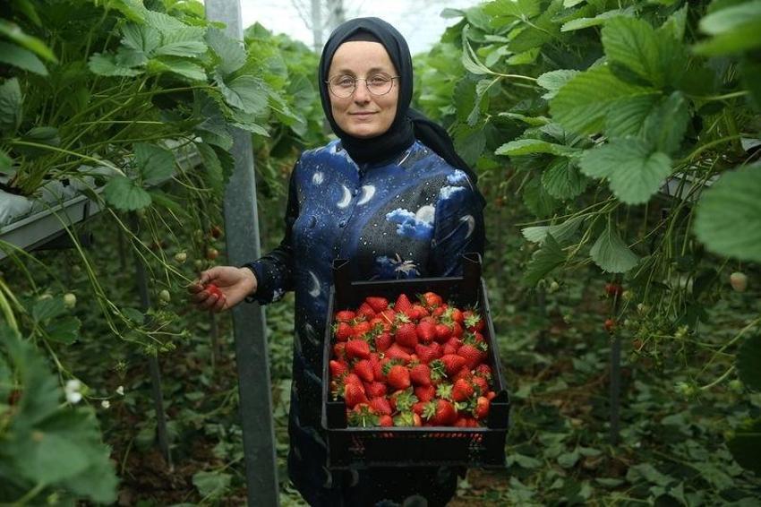 Günlük 400 kilo üretiyor! Her tohumu altın değerinde: Kilosunu 60 TL'den satan kadına istek yağıyor