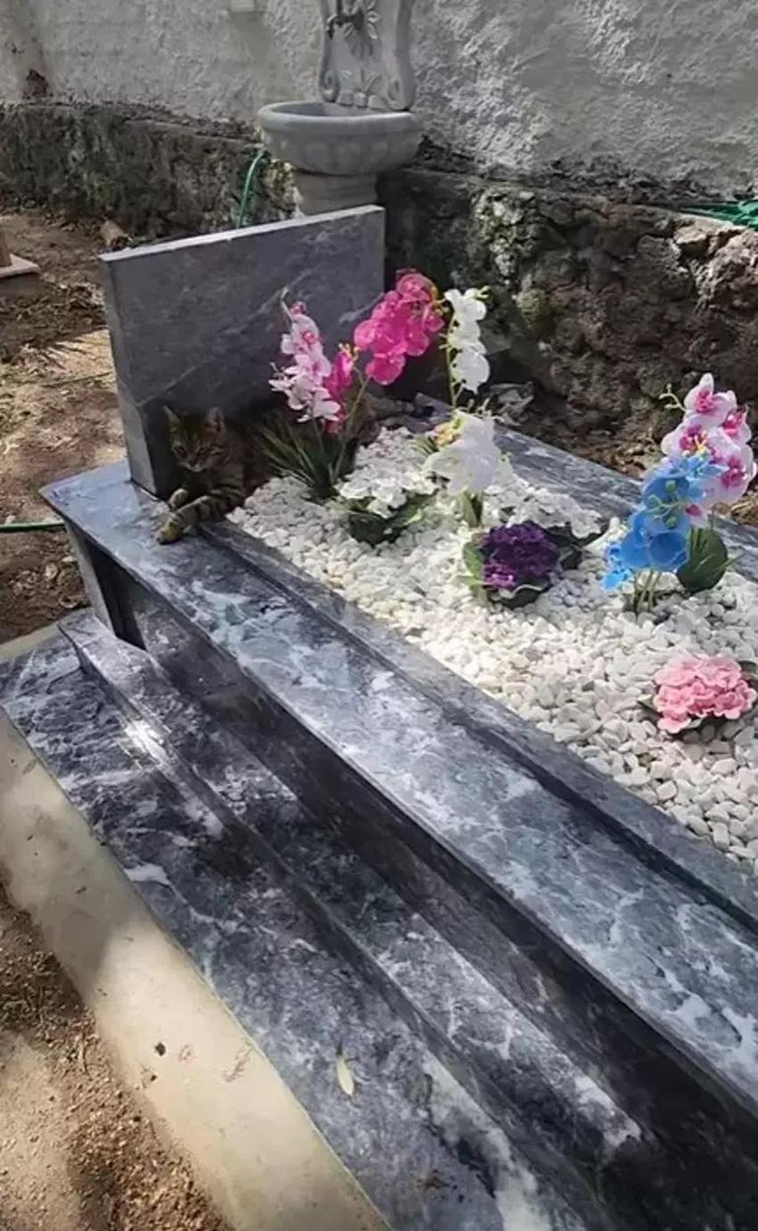 Safiye Soyman oğlunun mezarı başında dua istedi!
